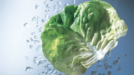 ตู้เย็นที่สามารถเก็บผัก,ผลไม้ให้สดใหม่ได้นานขึ้น